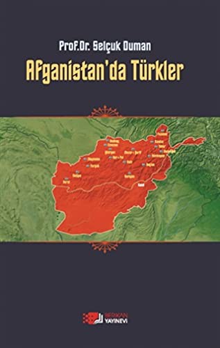 Afganistan'da Türkler kitap kapağı