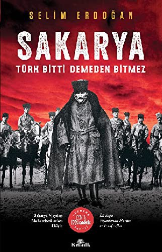 Sakarya & Türk Bitti Demeden Bitmez kitap kapağı
