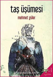 Taş Üşümesi kitap kapağı