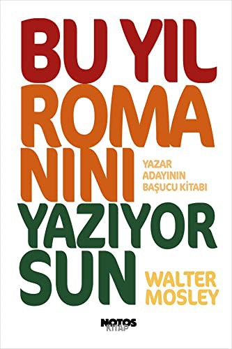 Bu Yıl Romanını Yazıyorsun kitap kapağı