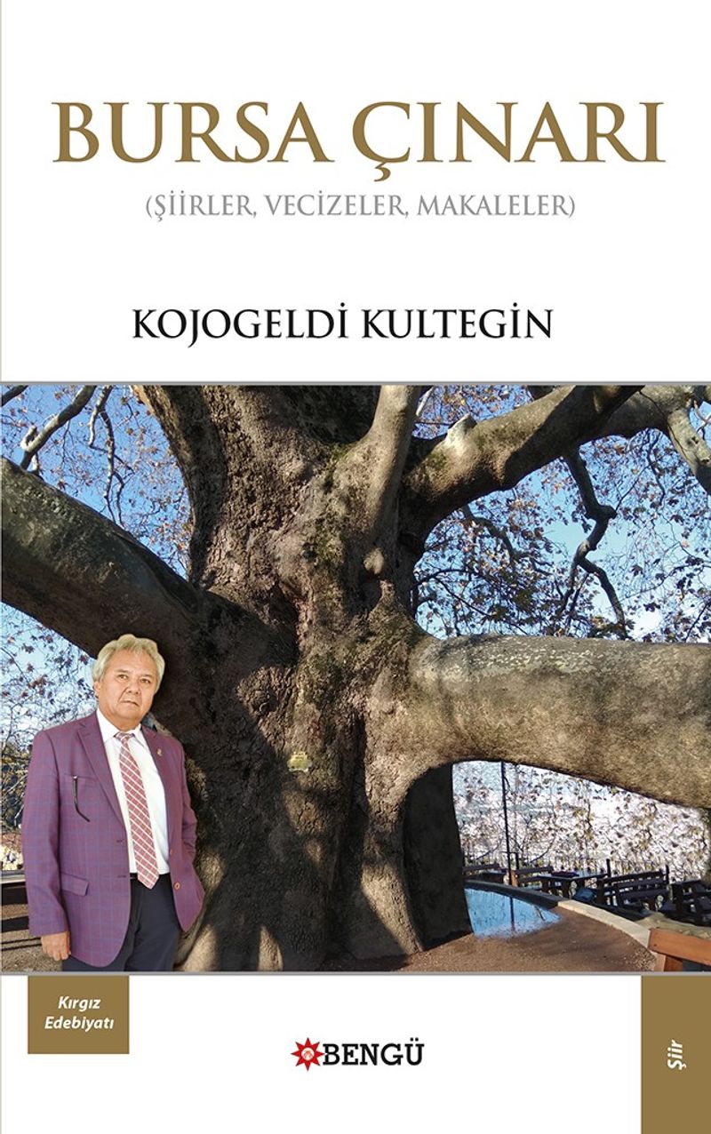 Bursa Çınarı kitap kapağı
