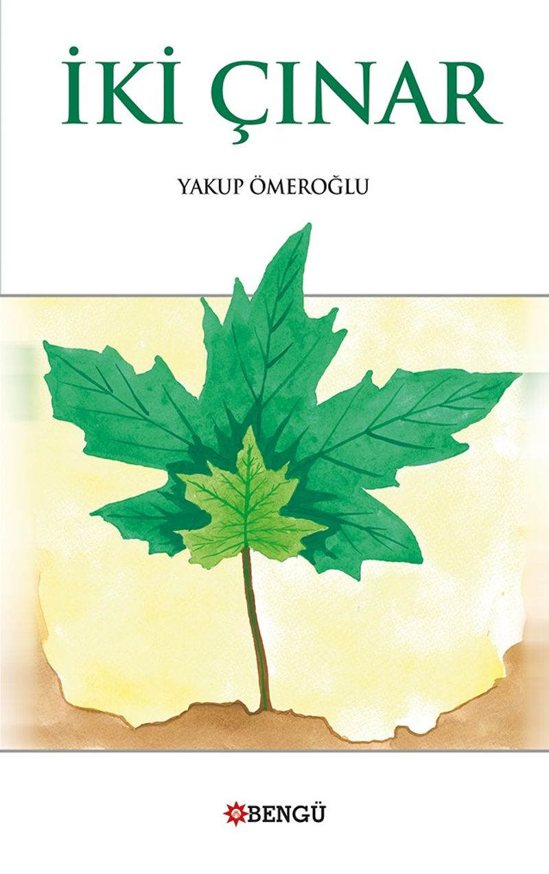 İki Çınar kitap kapağı