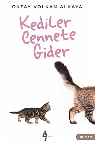 Kediler Cennete Gider kitap kapağı