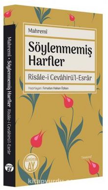 Söylenmemiş Harfler kitap kapağı