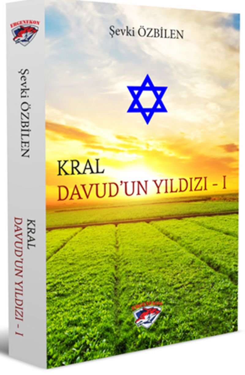 Kral Davud’un Yıldızı - 1 kitap kapağı