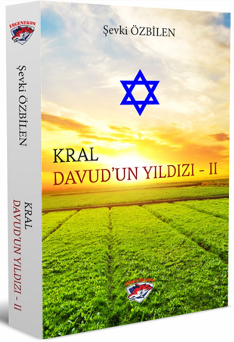 Kral Davud’un Yıldızı - 2 kitap kapağı