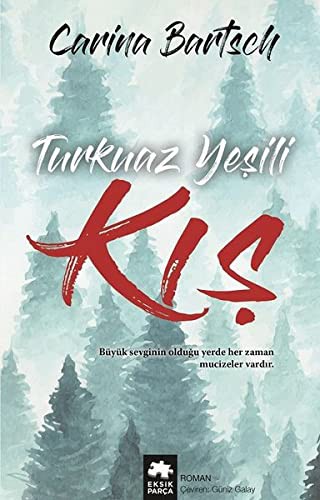 Turkuaz Yeşili Kış kitap kapağı