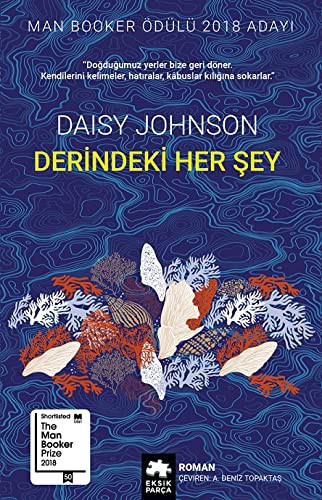 Derindeki Her Şey kitap kapağı