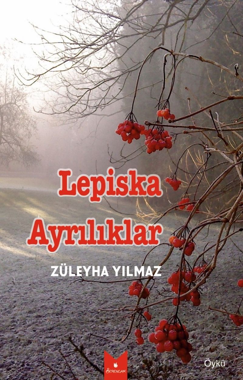 Lepiska Ayrılıklar kitap kapağı