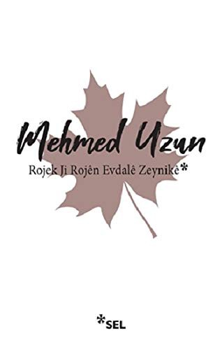 Rojek Ji Rojên Evdalê Zeynikê kitap kapağı