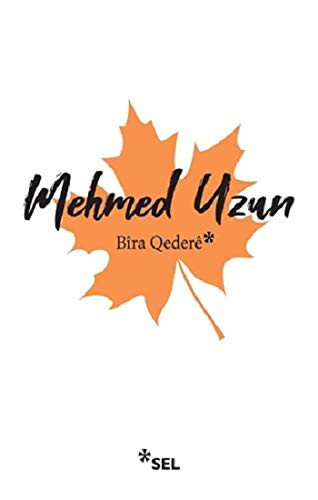 Bira Qedere kitap kapağı