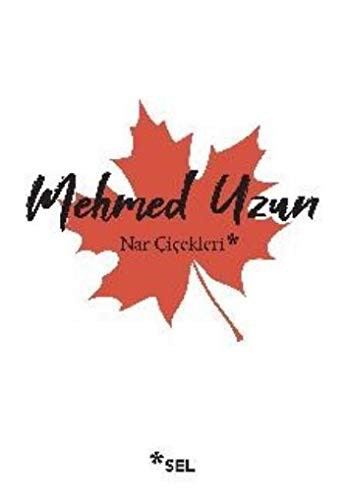 Nar Çiçekleri: Çokkültürlülük Üstüne Denemeler kitap kapağı