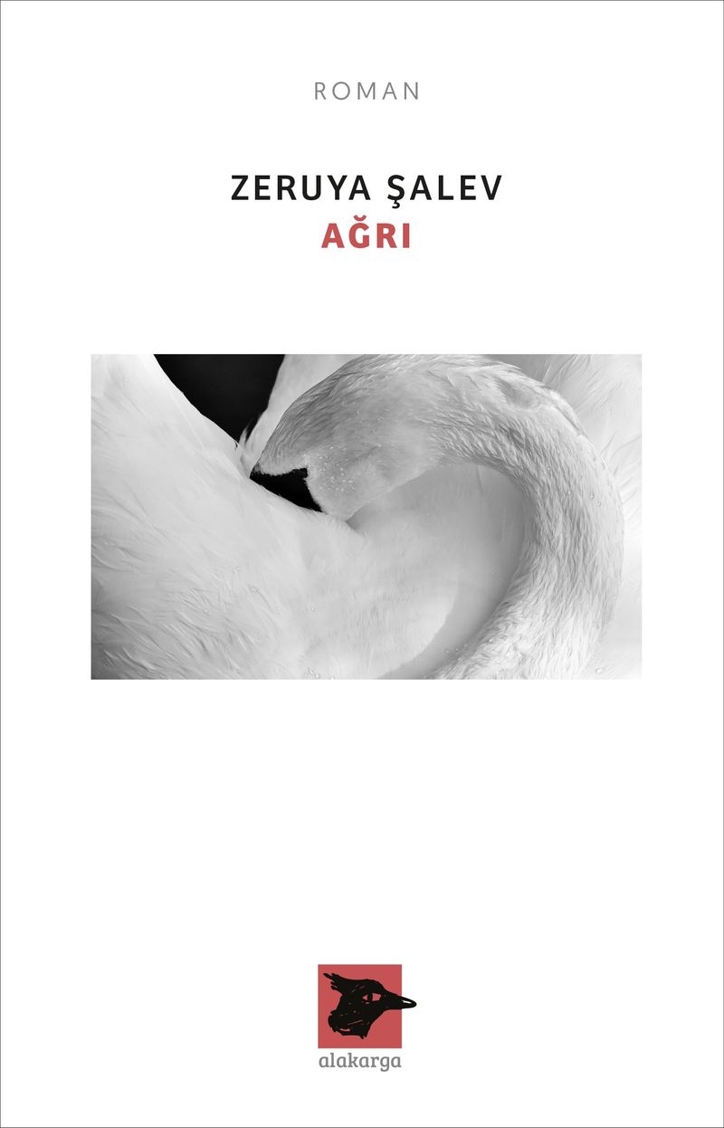 Ağrı kitap kapağı