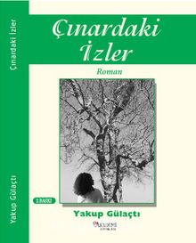 Çınardaki İzler kitap kapağı