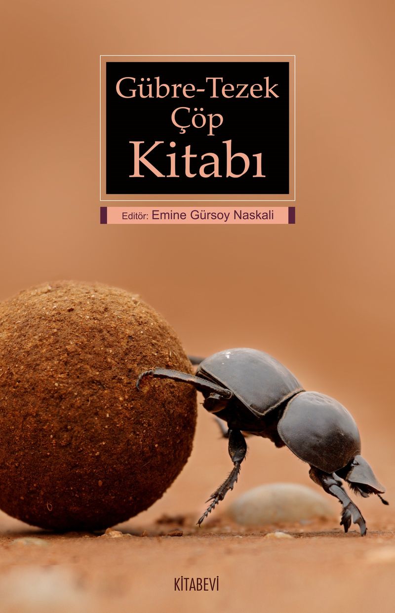 Gübre-Tezek-Çöp Kitabı kitap kapağı