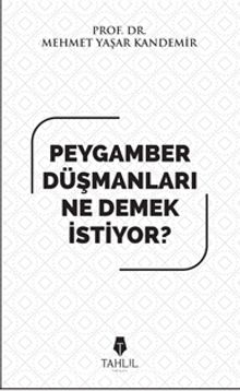Peygamber Düşmanları Ne Demek İstiyor? kitap kapağı