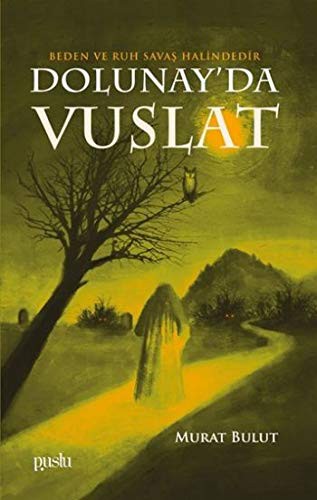 Dolunay’da Vuslat kitap kapağı