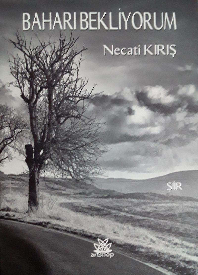 Baharı Bekliyorum kitap kapağı