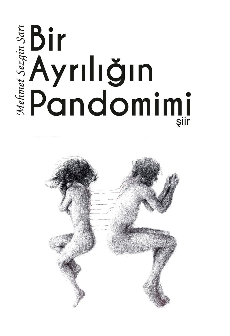 Bir Ayrılığın Pandomimi kitap kapağı