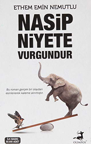 Nasip Niyete Vurgundur kitap kapağı