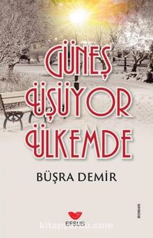 Güneş Üşüyor Ülkemde kitap kapağı