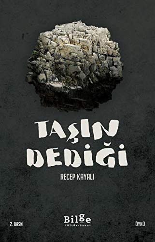 Taşın Dediği kitap kapağı