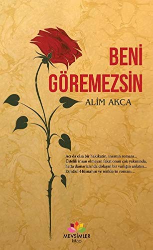 Beni Göremezsin kitap kapağı