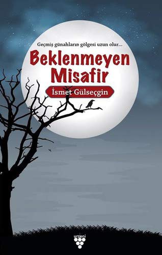 Beklenmeyen Misafir kitap kapağı
