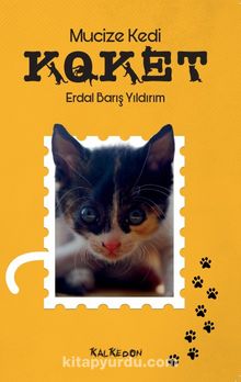 Mucize Kedi Koket kitap kapağı