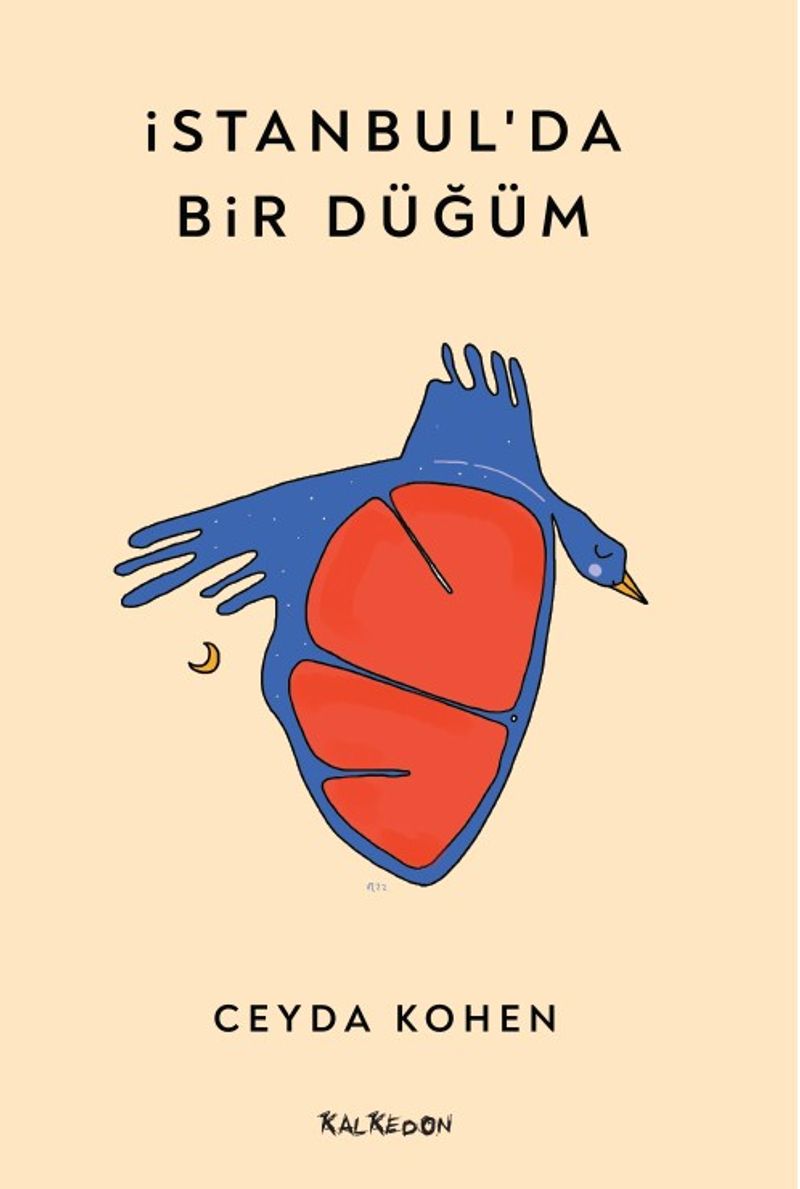 İstanbul’da Bir Düğüm kitap kapağı