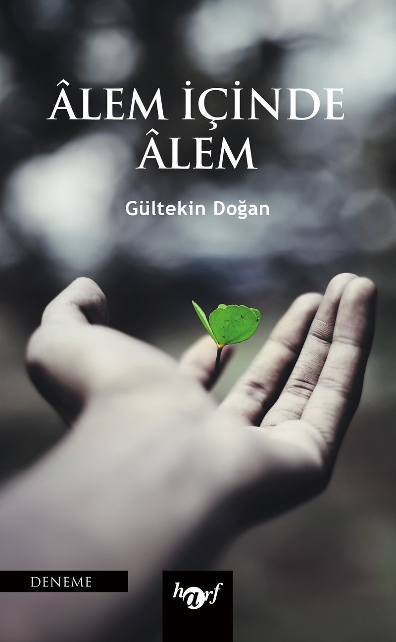 Alem İçinde Alem kitap kapağı