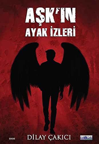 Aşkın Ayak İzleri kitap kapağı