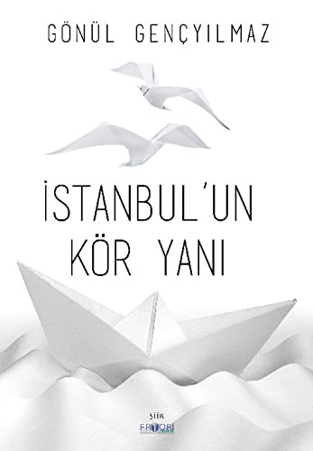 İstanbul’un Kör Yanı kitap kapağı