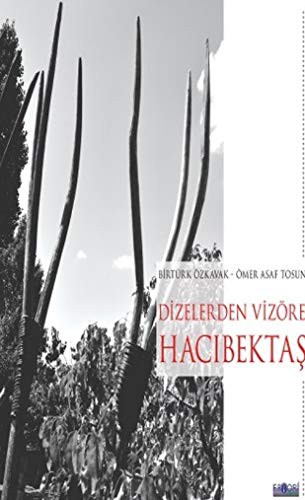 Dizelerden Vizöre Hacıbektaş kitap kapağı