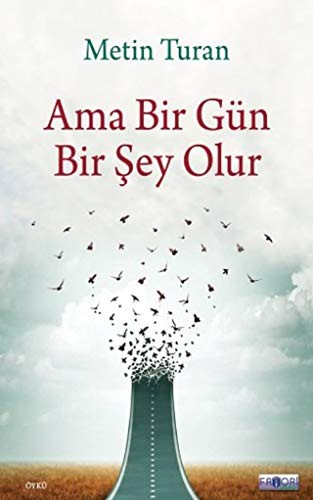 Ama Bir Gün Bir Şey Olur kitap kapağı