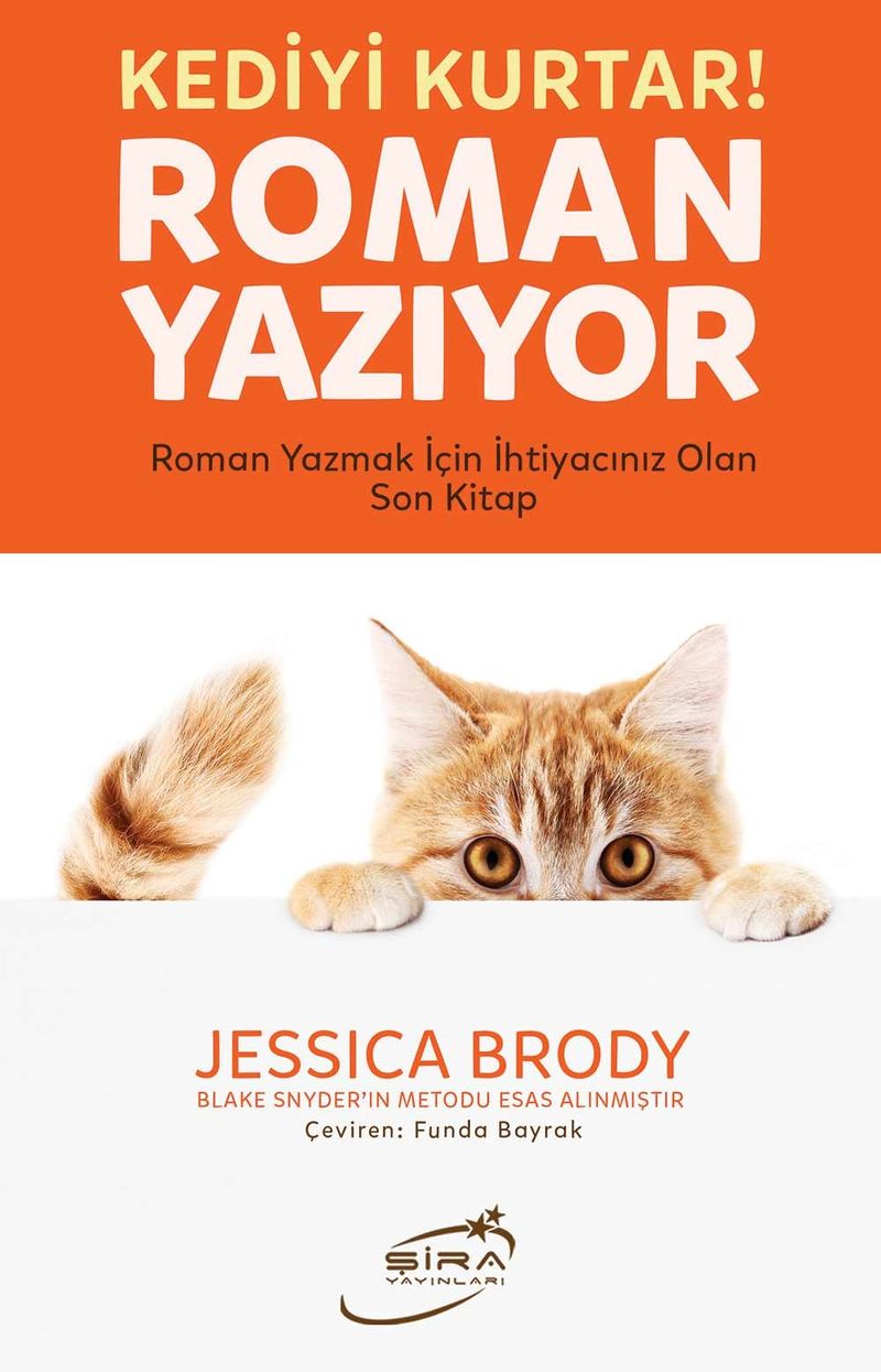 Kediyi Kurtar Roman Yazıyor Roman Yazmak İçin İhtiyacınız Olan Son Kitap kitap kapağı