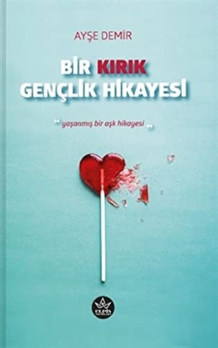 Bir Kırık Gençlik Hikayesi kitap kapağı