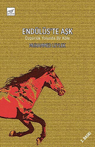 Endülüs’te Aşk kitap kapağı