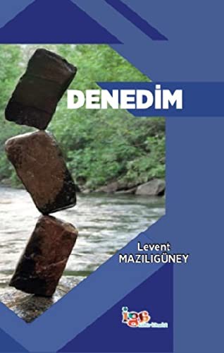 Denedim kitap kapağı