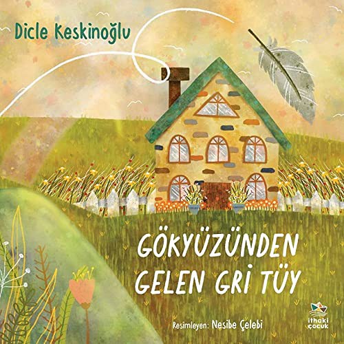 Gökyüzünden Gelen Gri Tüy kitap kapağı