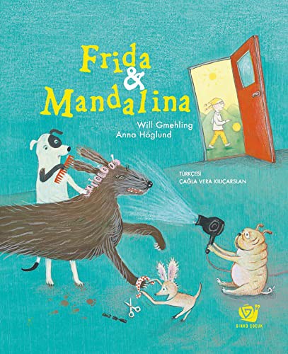 Frida ve Mandalina kitap kapağı