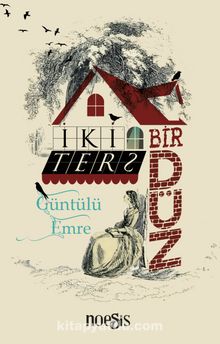 İki Ters Bir Düz kitap kapağı