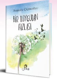 Bir Duygudan Fazlası kitap kapağı