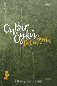 On Bir Öykü kitap kapağı