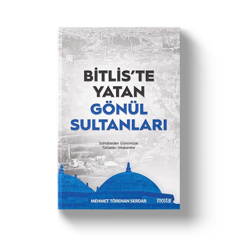Bitliste Yatan Gönül Sultanları kitap kapağı