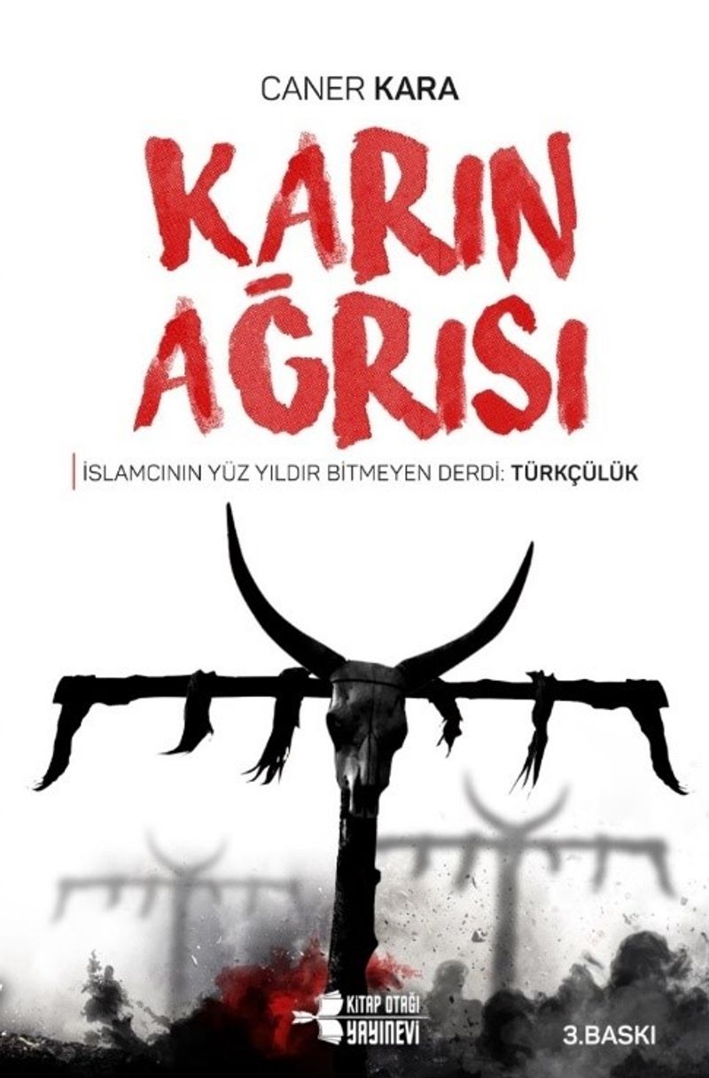 Karın Ağrısı kitap kapağı