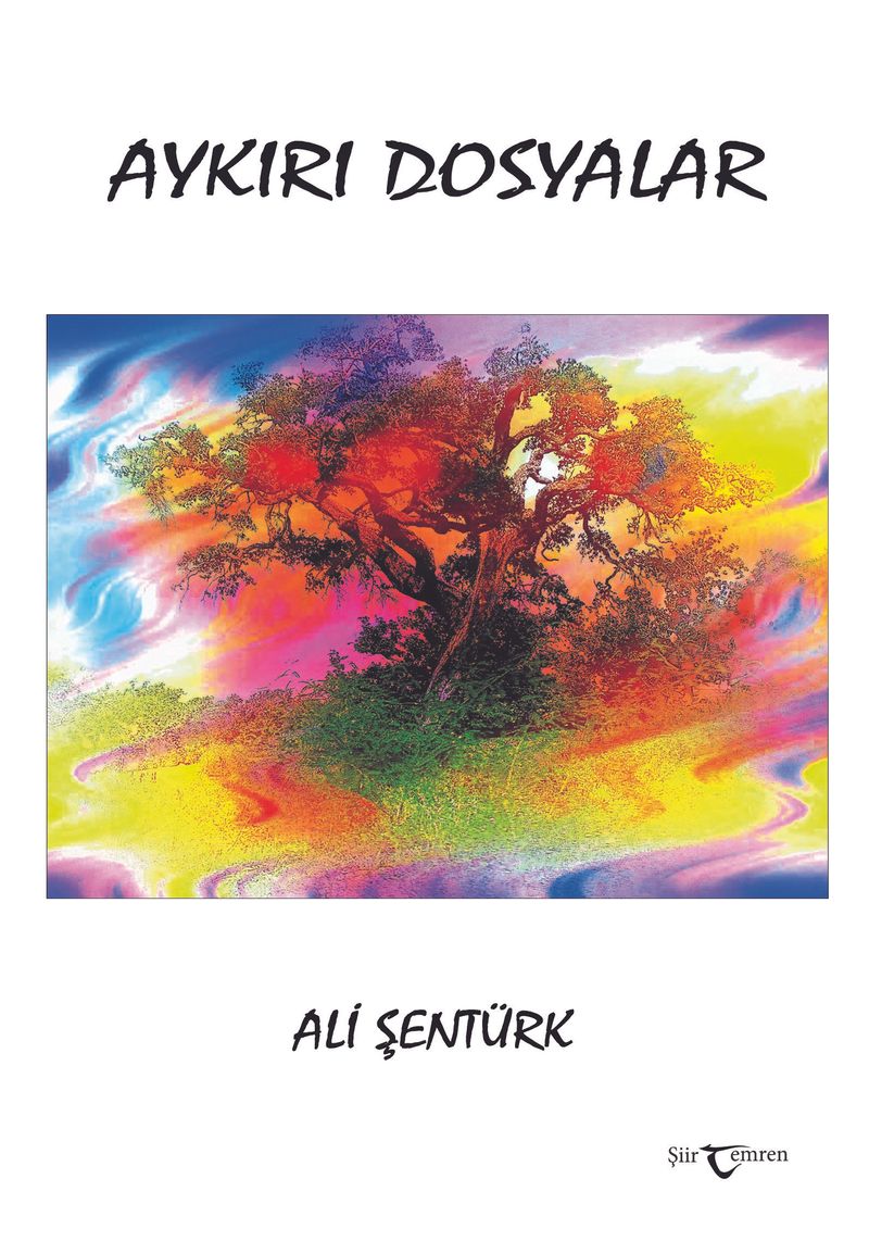 Aykırı Dosyalar kitap kapağı