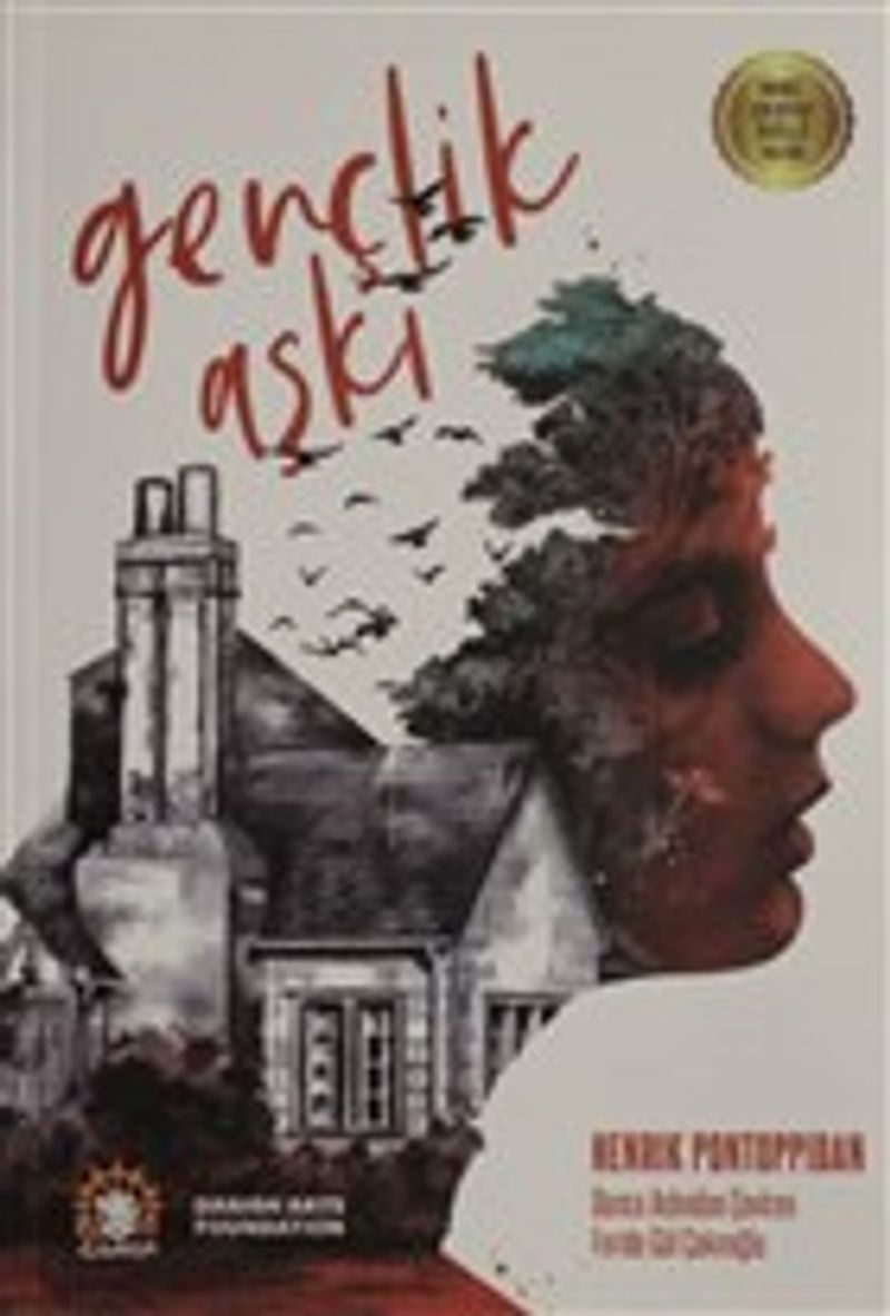 Gençlik Aşkı kitap kapağı