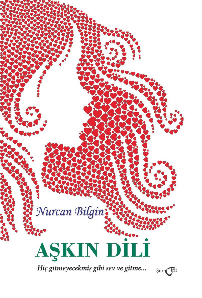 Aşkın Dili kitap kapağı