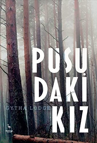Pusudaki Kız kitap kapağı